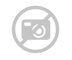 HALAL Certification in Qatar